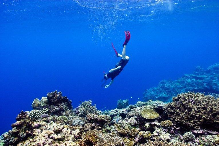 深入了解避雷针是怎样安装的?的知识星球平台,实用有效的解决方案
