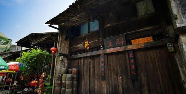 动物帮帮忙保卫家园